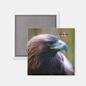 Golden Eagle Magnet (Vorderseite/Rückseite)