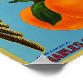 Golden Eagle Markenzeichen Orange Fruchtkorb Poster (Ecke)