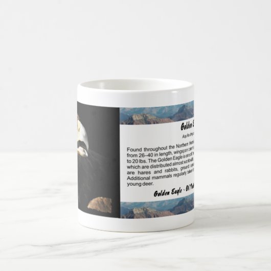 Golden Eagle Portrait Kaffeetasse (Mittel)