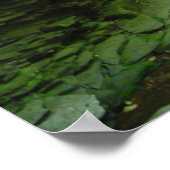 Golden Eagle Poster (Ecke)