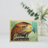 Golden Eagle Postkarte - Wildnis der Welt (Stehend Vorderseite)