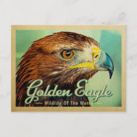 Golden Eagle Postkarte - Wildnis der Welt