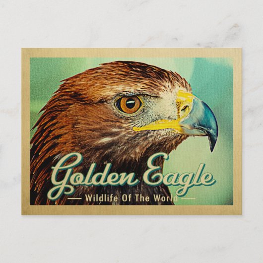 Golden Eagle Postkarte - Wildnis der Welt (Vorderseite)