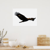 Golden Eagle Soaring Poster (Küche)