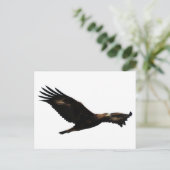 Golden Eagle Soaring Postkarte (Stehend Vorderseite)