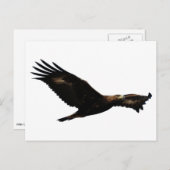 Golden Eagle Soaring Postkarte (Vorne/Hinten)