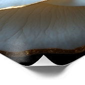 Golden-Edged Purity Crystal Heart Rose Poster (Ecke)