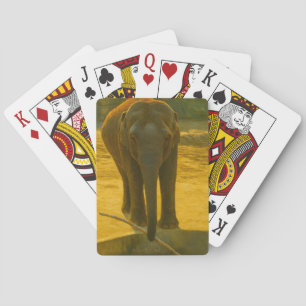 Golden Elephant Wisdom - Majestic Wildlife Spielkarten