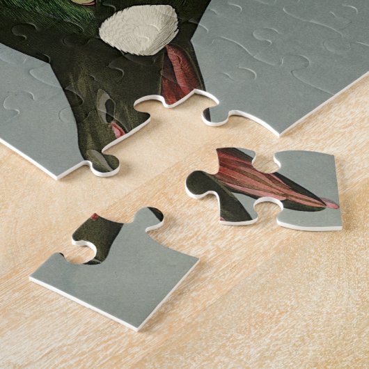 Golden-Eye Duck - von Audubons Vögeln Amerikas Puzzle (Seite)