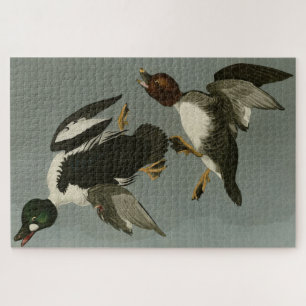 Golden-Eye Duck - von Audubons Vögeln Amerikas Puzzle
