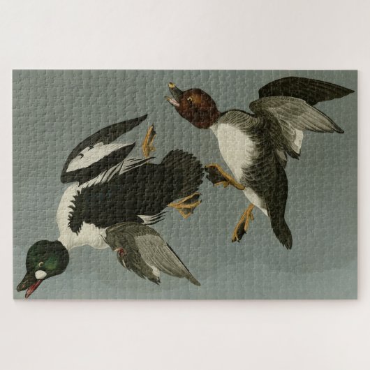 Golden-Eye Duck - von Audubons Vögeln Amerikas Puzzle (Horizontal)