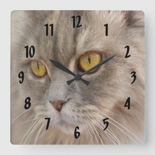 Golden Eye Gray Persian Cat Quadratische Wanduhr (Vorderseite)