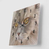 Golden Eye Gray Persian Cat Quadratische Wanduhr (Winkel)