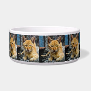 Golden Eyes Bowl Napf