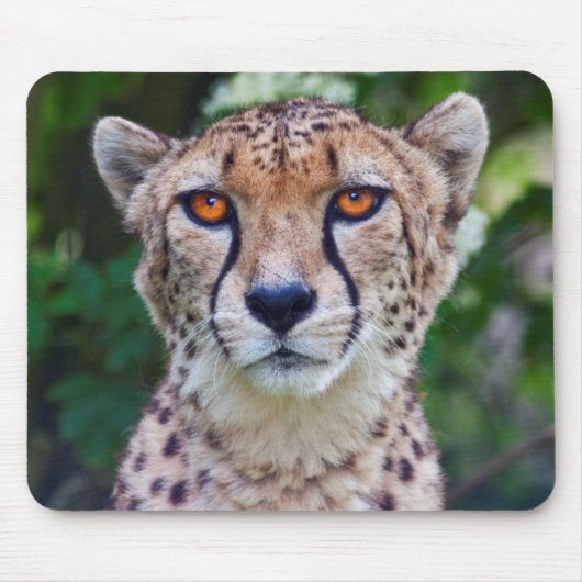 Golden Eyes Mousemat Mousepad (Vorne)