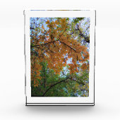 Golden Fall Photo Block (Vorderseite)