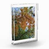 Golden Fall Photo Block (Links)