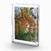 Golden Fall Photo Block (Rechts)