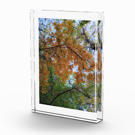 Golden Fall Photo Block (Rechts)