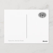 Golden Flangetail Postkarte (Rückseite)