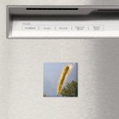 Golden Foliage Magnet (In Situ (Geschirrspüler))