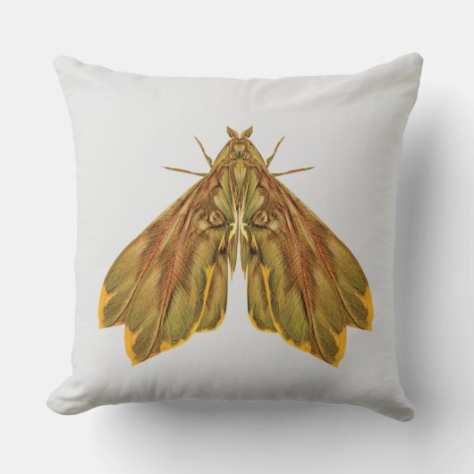 Golden Forest Moth – Surreal Nature Form Kissen (Vorderseite)