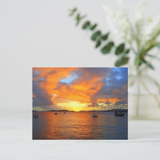 Golden Frank Bay Sunset, St. John, U.S.V.I. Postkarte (Stehend Vorderseite)