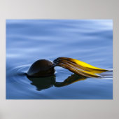 Golden Fronds - Poster (Vorne)