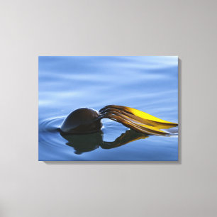 Golden Fronds Wrapped Canvas Leinwanddruck