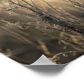 Golden Frosty Morning Flämische Landschaft Poster (Ecke)