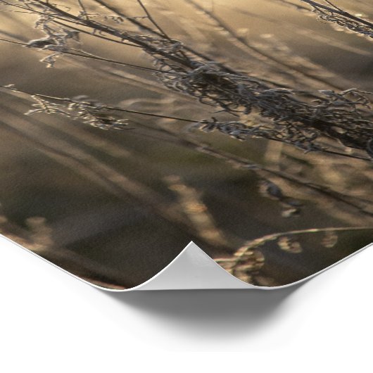 Golden Frosty Morning Flämische Landschaft Poster (Ecke)