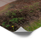 Golden Gate Bridge Erie Sunrise Poster (Ecke)