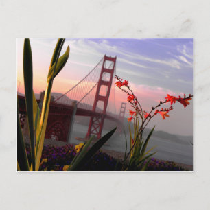 Golden Gate Bridge Garden view1 Postkarte