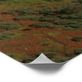 Golden Gate Bridge Poster (Ecke)