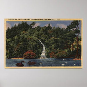 Golden Gate Park, Fälle des Stow See-, Huntington Poster