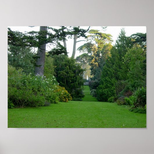 Golden Gate Park Poster (Vorne)