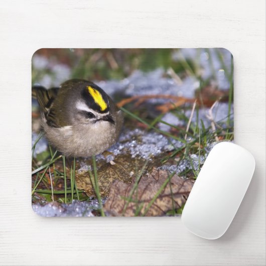 Golden-gekrönte Kinglet Mousepad (Mit Mouse)