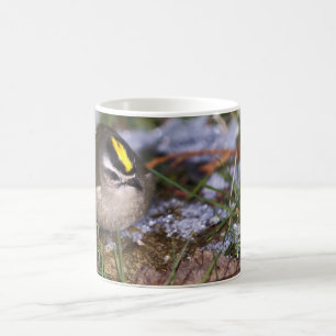 Golden-gekrönte Kinglet-Tasse Kaffeetasse