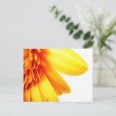 Golden Gerbera Postkarte (Stehend Vorderseite)