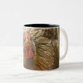 Golden-Geschnürte Wyandotte Henne Zweifarbige Tasse (VorderseiteRechts)