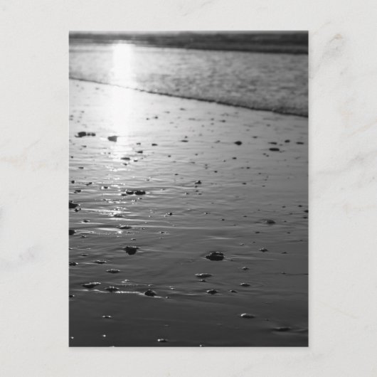 Golden Glassy Sand Grayscale Postkarte (Vorderseite)