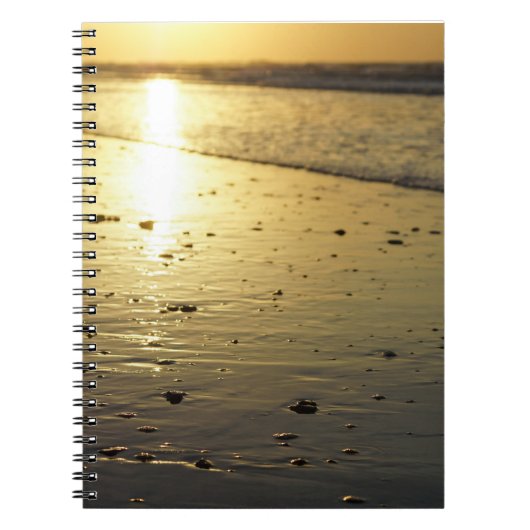 Golden Glassy Sand Notizblock (Vorderseite)