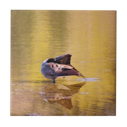 Golden Goose Fliese (Vorderseite)