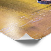 Golden Goose Fotodruck (Ecke)