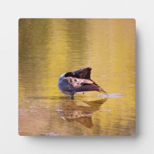 Golden Goose Fotoplatte