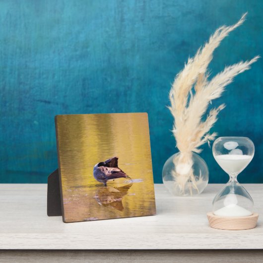 Golden Goose Fotoplatte (InSitu)