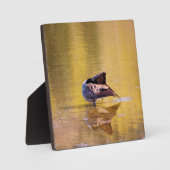 Golden Goose Fotoplatte (Vorderseite)