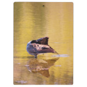 Golden Goose Klemmbrett (Rückseite)