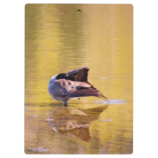 Golden Goose Klemmbrett (Rückseite)