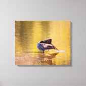 Golden Goose Leinwanddruck (Vorderseite)